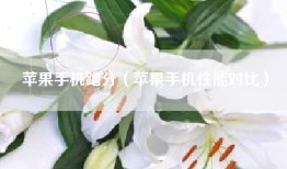 苹果手机跑分（苹果手机性能对比）