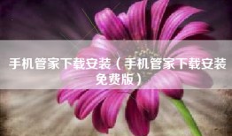 手机管家下载安装（手机管家下载安装免费版）