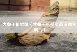 大象手机壁纸（大象手机壁纸高清图片霸气）