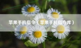 苹果手机指令（苹果手机指令库）