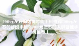 1000元左右的大屏智能手机推荐1000元左右的智能手机「1000元左右的大屏智能手机推荐」