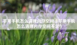 苹果手机怎么清理内存空间（苹果手机怎么清理内存空间不足）