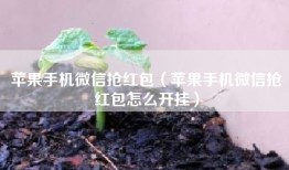 苹果手机微信抢红包（苹果手机微信抢红包怎么开挂）