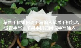 苹果手机如何调手写输入苹果手机怎么设置手写「苹果手机如何调手写输入」