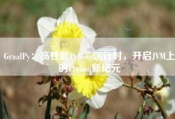 GraalPy：高性能Python运行时，开启JVM上的Python新纪元