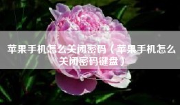 苹果手机怎么关闭密码（苹果手机怎么关闭密码键盘）