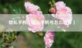 隐私手机（隐私手机号怎么取件）