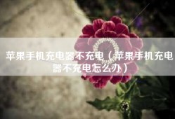 苹果手机充电器不充电（苹果手机充电器不充电怎么办）