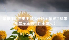 苹果手机来电不显示号码（苹果手机来电显示主叫号码未显示）