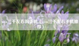 vivo三千左右的手机（vivo三千左右手机推荐）