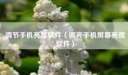 调节手机亮度软件（调亮手机屏幕亮度软件）