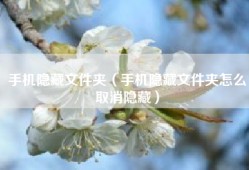 手机隐藏文件夹（手机隐藏文件夹怎么取消隐藏）