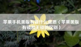 苹果手机美版有锁什么意思（苹果美版有锁和无锁的区别）