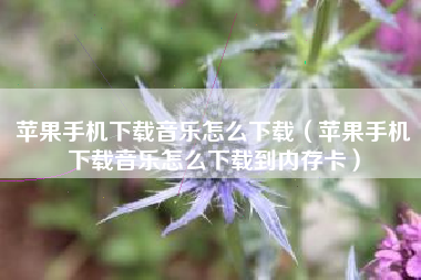 苹果手机下载音乐怎么下载（苹果手机下载音乐怎么下载到内存卡）