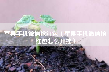 苹果手机微信抢红包（苹果手机微信抢红包怎么开挂）