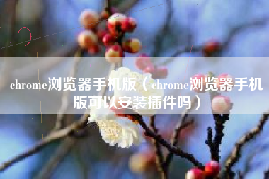 chrome浏览器手机版（chrome浏览器手机版可以安装插件吗）