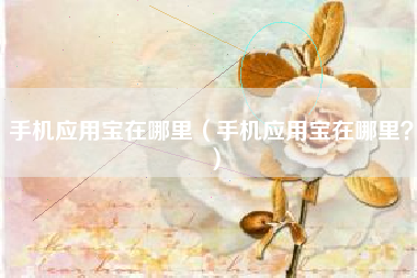 手机应用宝在哪里(手机应用宝在哪里?) 手机应用宝在哪里(手机应用宝在哪里?)