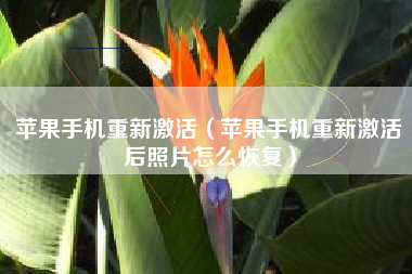 苹果手机重新激活(苹果手机重新激活后照片怎么恢复) 苹果手机重新激活(苹果手机重新激活后照片怎么恢复)