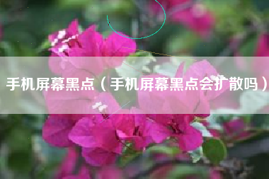 手机屏幕黑点（手机屏幕黑点会扩散吗）